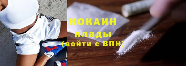 PSILOCYBIN Бугульма