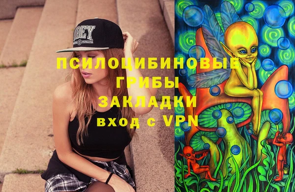 2c-b Бородино