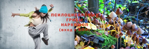 PSILOCYBIN Бугульма