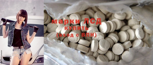 ПСИЛОЦИБИНОВЫЕ ГРИБЫ Богданович