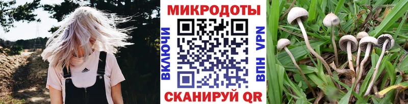 купить  сайты  Туапсе  Галлюциногенные грибы Psilocybe 